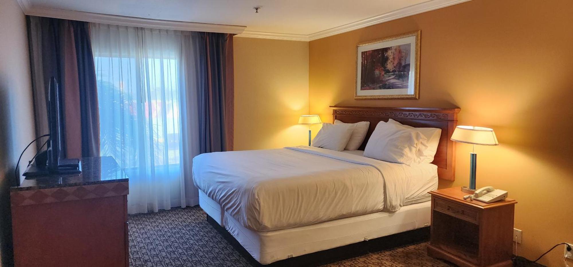 Hotel Xola وادي مورينو المظهر الخارجي الصورة