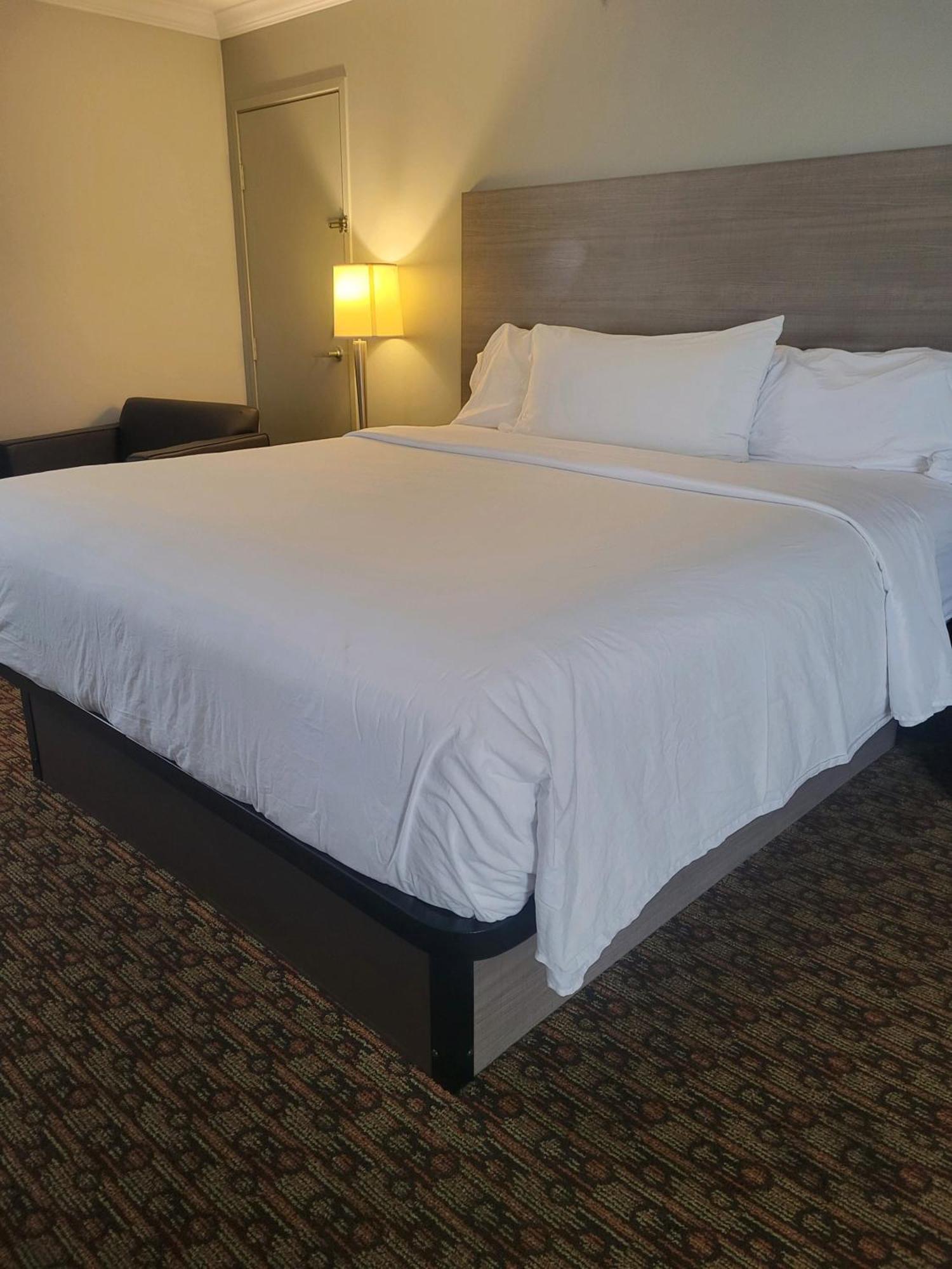Hotel Xola وادي مورينو المظهر الخارجي الصورة
